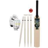 GM Aion Cricket Set